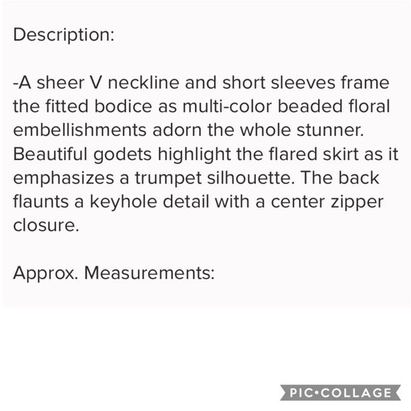 Adrianna Papell Beaded short sleeves V-neck Godet long Gown - Picture 4 of 11